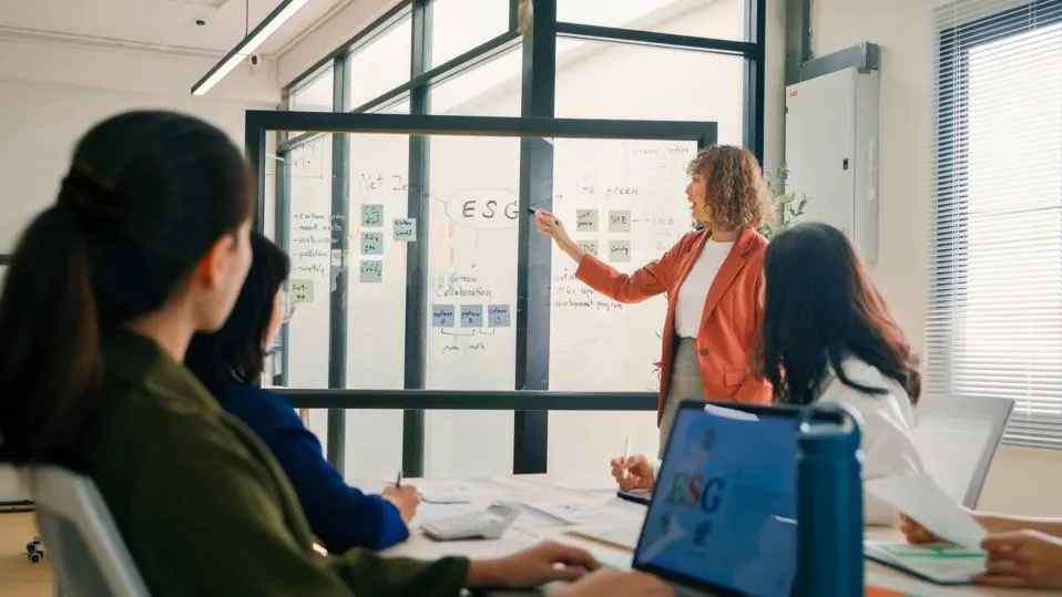 The Critical Role of Sustainability in Business Growth and Innovation