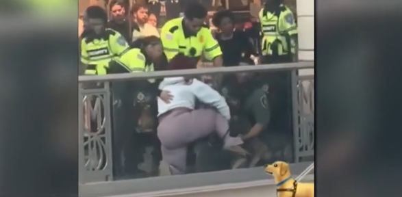 Viral Video of K-9 Biting Woman at Mayfair Mall Sparks Investigation and Legal Action
